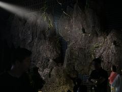 -麗枫酒店(深圳机场福永地铁站店)