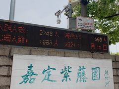 -嘉定紫藤园