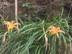 -千岛湖九龙溪漂流
