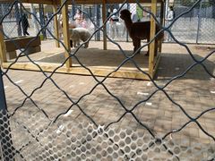 -长白岛森林公园