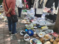 -中环花鸟鱼虫市场