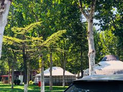 -九十九顶毡房(阜石路店)