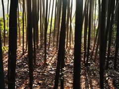 -苏州河梦清园环保主题公园