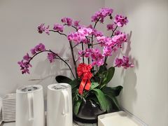 -LANN I 蘭 SPA(陆家嘴中心店)
