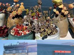 -野菌皇海景野生菌火锅(滨海大道店)