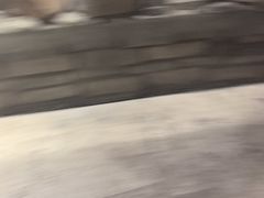 -金苑酒家·客家菜·广东老字号(万象店)