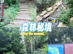 -大连植物园