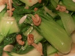 -醉得意·山茶油炒土鸡(泰安万达店)