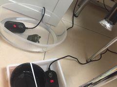 -灵龟之家百象馆(百象馆联合旗舰店)
