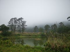-海南热带雨林国家公园吊罗山景区