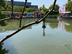 -嘉定紫藤园
