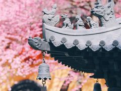 -BreadTalk面包新语·烘焙蛋糕(金光华广场店)