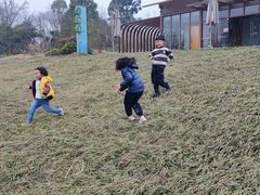 -桤木河湿地公园