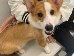 -comecome来吧宠物(奥克斯中心店)