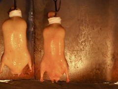 -宫燕府·京菜·烤鸭·淮扬菜(王府中心店)