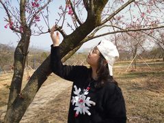 -天适樱花悠乐园