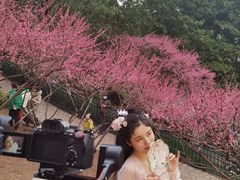 -重庆彩云湖湿地公园