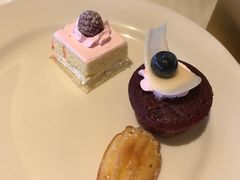 -君悦酒店·乐厨·高空自助餐(青年大街店)
