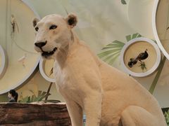 -陕西自然博物馆