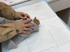 -御宝贝24h宠物医院·转诊中心·CT核磁血透中心(厦门总院)