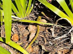 -白云山风景名胜区