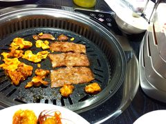 -欢乐牧场(T12店)