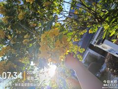 -林丰温泉度假山庄