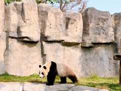-上海野生动物园