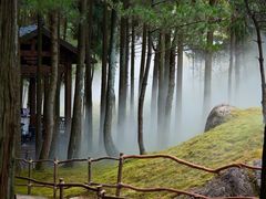 -玉苍山国家森林公园