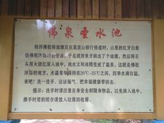 -莫里热带雨林景区