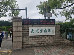 -嘉定紫藤园