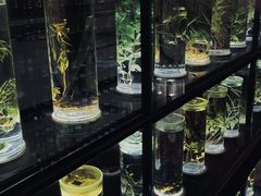 -广东中医药博物馆