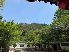 -老张烤羊(王哥庄店)