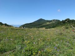 -白草畔自然风景区