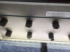 iphone_upload_pic-宁波茶文化博物院