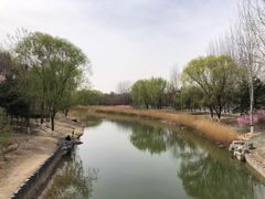 -大兴滨河森林公园