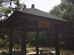 -大兴滨河森林公园