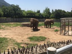 -西安秦岭野生动物园