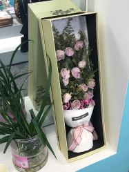 -斐尔国际皮肤管理中心