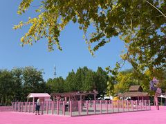 -渔岛海洋度假区