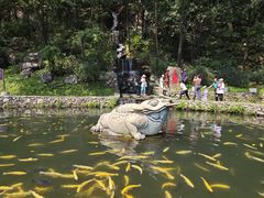 -大连天门山国家森林公园