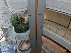 -上海明天广场JW万豪酒店