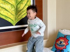 -上海浦东康桥绿地假日酒店