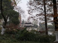 -习家池