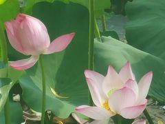 -韶山毛泽东同志故居