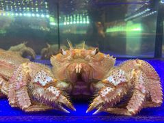 -蟹道乐(道顿堀本店)