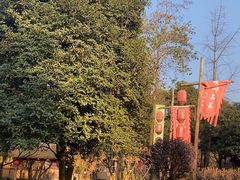 -土灶人家柴火鸡(都江堰店)