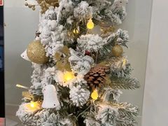 -Dr.Z dental仁康种植矫正中心