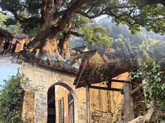 -杨家堂村