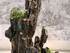 -扬州大运河文化旅游度假区·盆景园